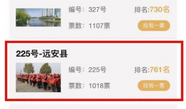 远安最新爆料消息,揭秘神秘事件背后的惊人真相