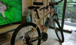 桂林单车爆料案件最新,真相与疑云交织的骑行之谜