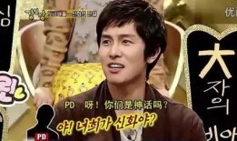 韩娱节目爆料大全最新版,揭秘明星幕后故事与热门事件